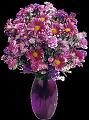 fleurs et nature (25)